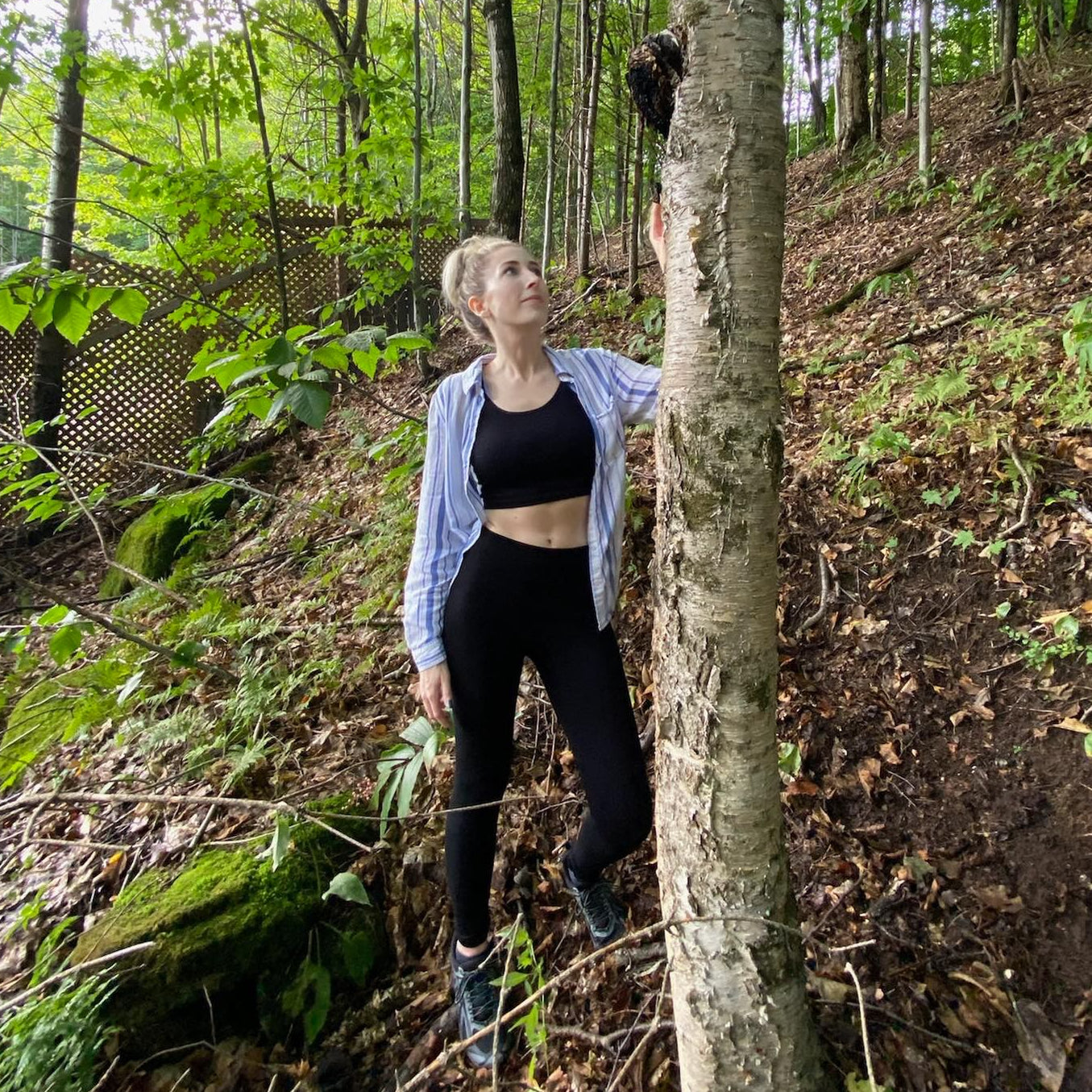 OÙ TROUVER LE CHAGA?