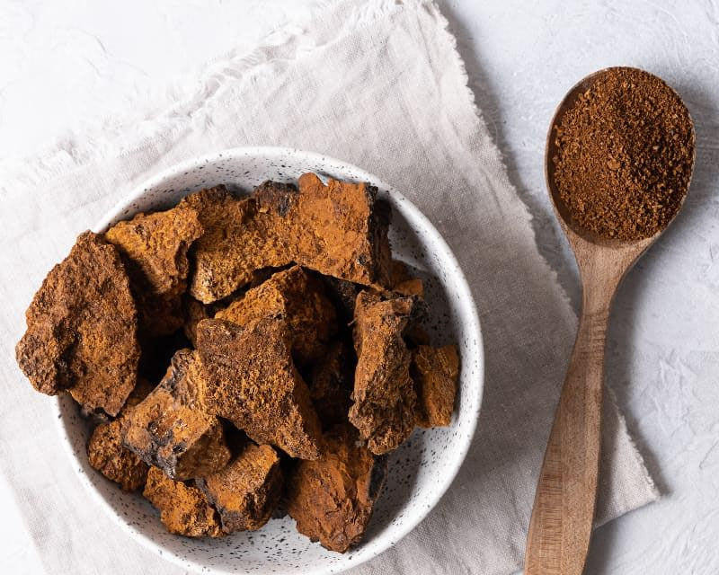 5 BIENFAITS DU CHAGA ?