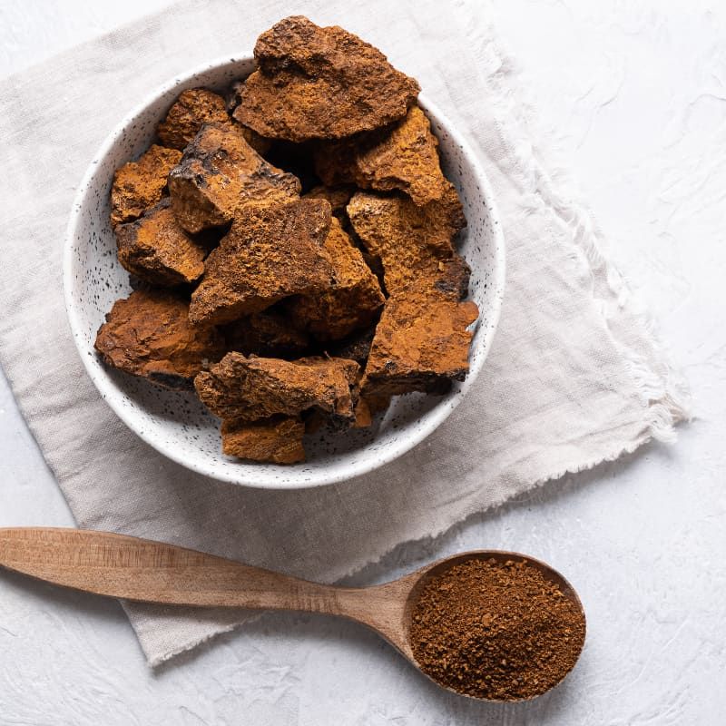 5 BIENFAITS DU CHAGA ?