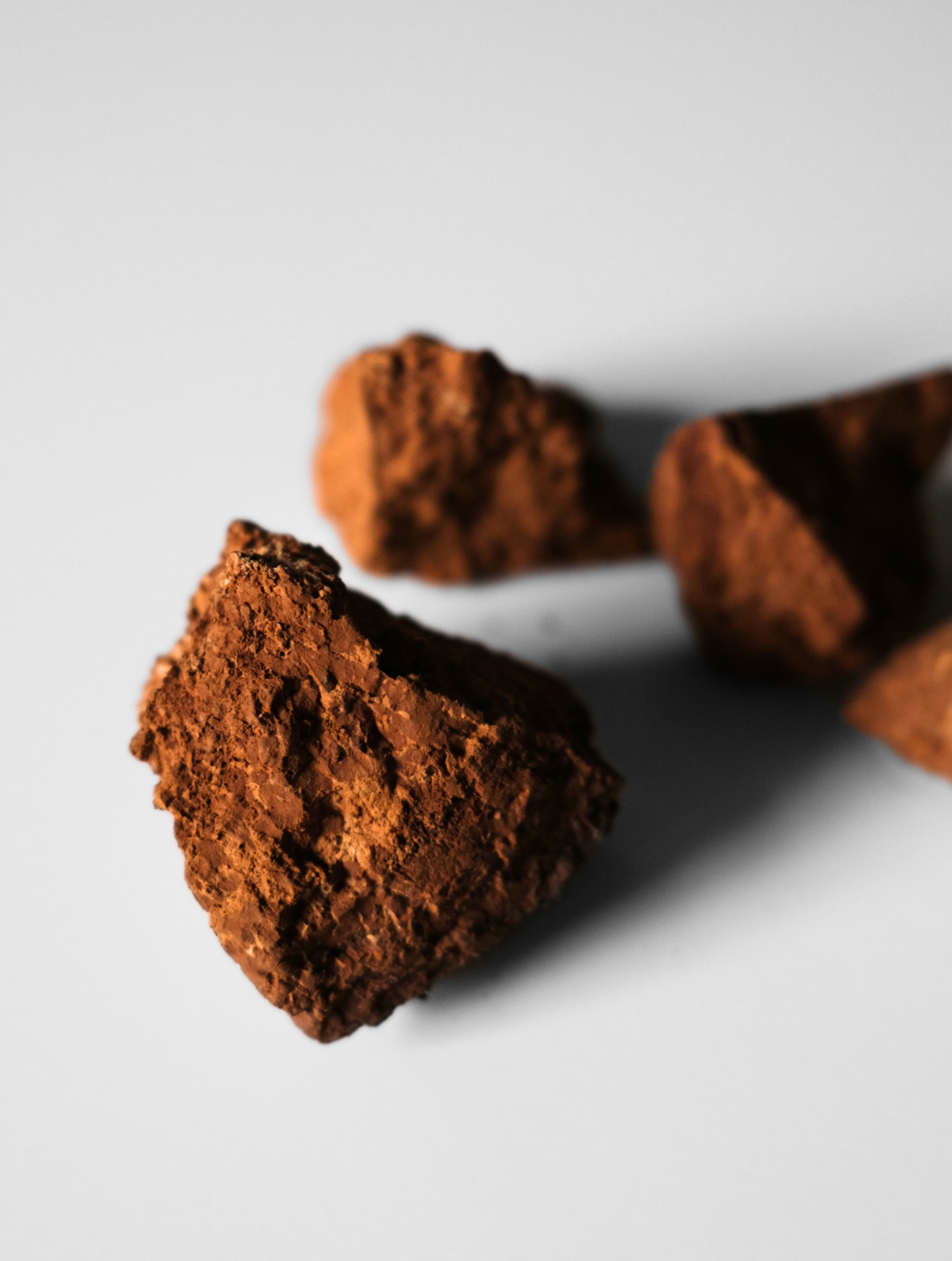 Chaga Chipits